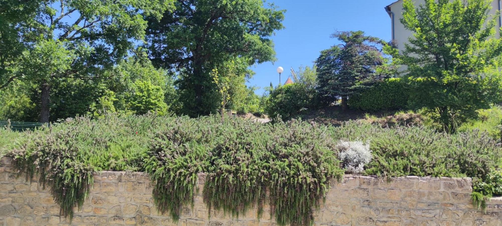 Le Moulin Hébergement de vacances